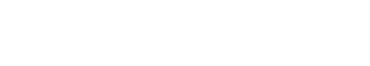 Logo_SALTO_WHITE